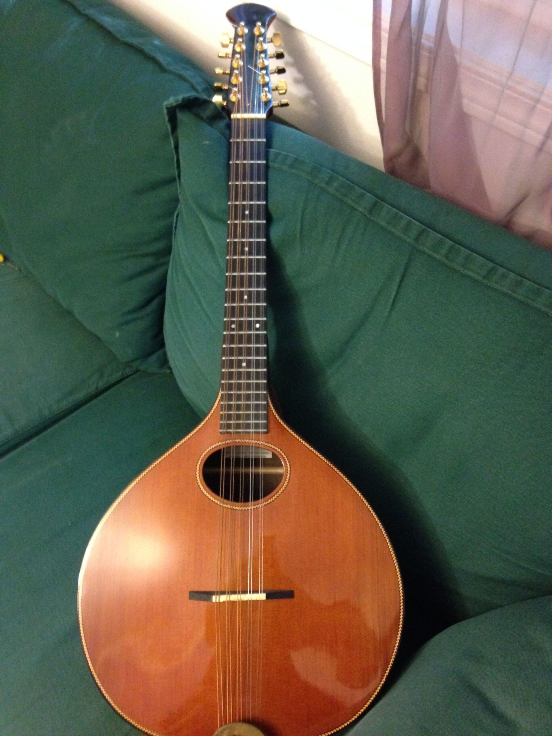 Check it out, a cittern!