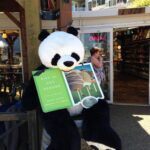 Advertising Panda