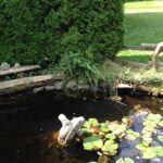 Pond at Heritage House