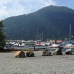 Lakeshore and Boats 2