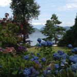 Trees and Flowers by Lake Harrison 2